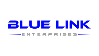 Blue Link Enterprises, Inc. — EDI Consulting